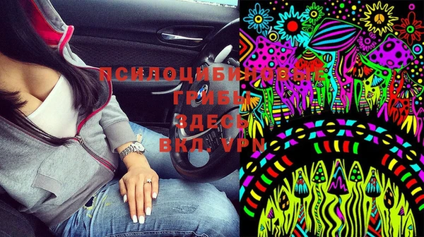 дживик Алзамай